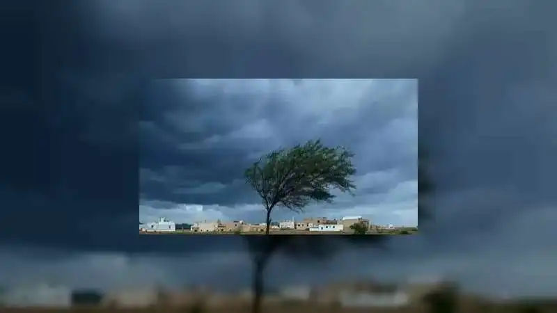 Rajasthan Kal Ka Mausam: 7 जुलाई को पूर्वी भागों में सबसे ज्यादा बारिश, कोटा-उदयपुर में भारी अलर्ट जारी